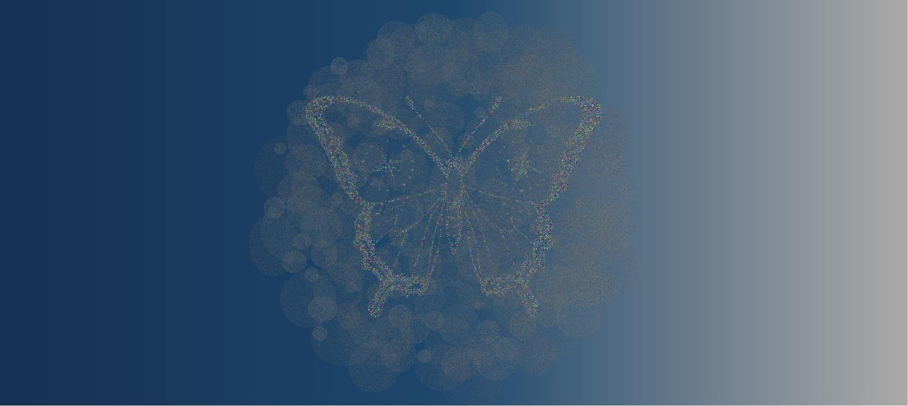 Product Image Protection: Realistic Strategies in a Copy-Driven Market